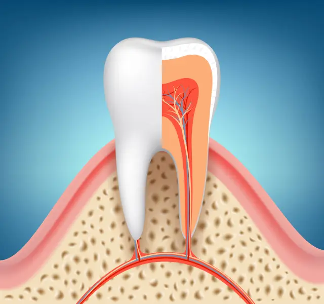 How Dental Filling Restores Tooth Strength Petersburg, VA